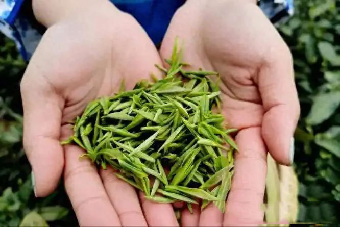 醫(yī)生研究發(fā)現(xiàn)：一旦患上糖尿病，吃飯一定要注意4點(diǎn)，別害了自己