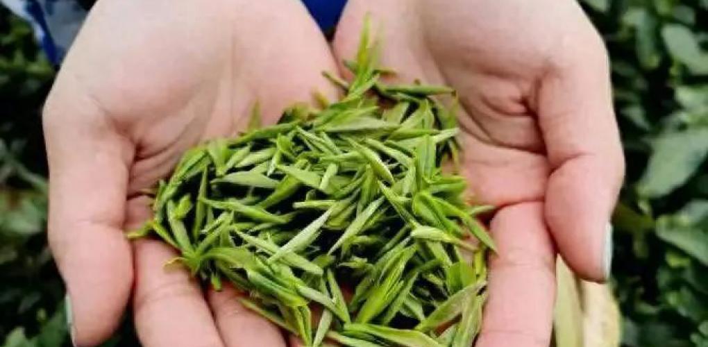 醫(yī)生研究發(fā)現(xiàn)：一旦患上糖尿病，吃飯一定要注意4點(diǎn)，別害了自己