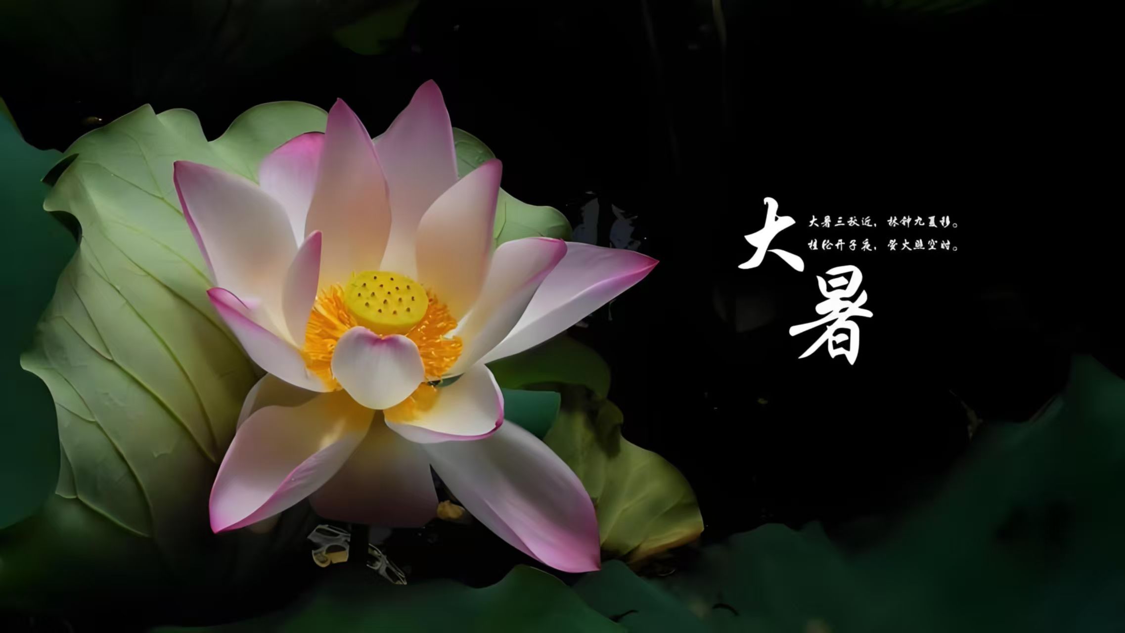 大暑至，健康指南助你安然度夏