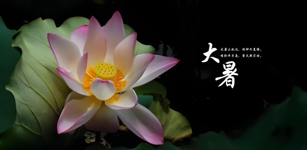 大暑至，健康指南助你安然度夏