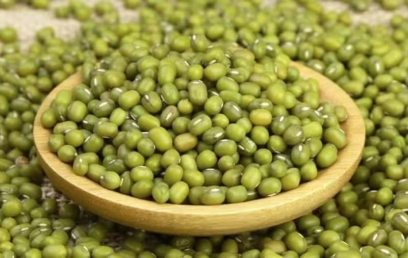 綠豆 —— 夏季清熱解暑的佳品