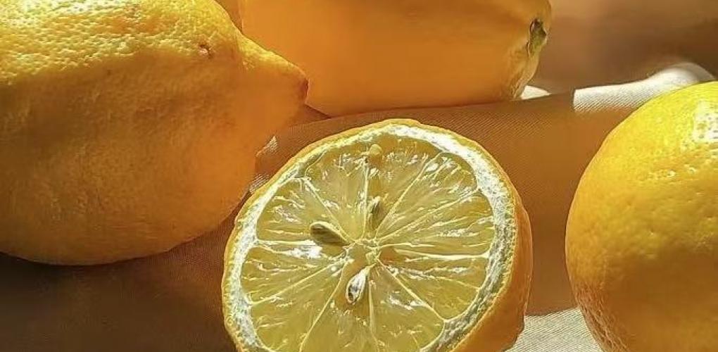夏日檸檬：養(yǎng)生寶藏的多重驚喜