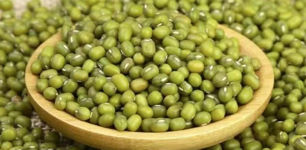 綠豆 —— 夏季清熱解暑的佳品