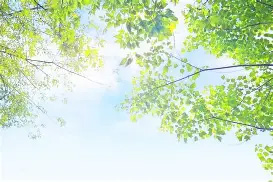 馬上“入伏”，心臟不好的老年人注意：天氣炎熱3件事最好少做