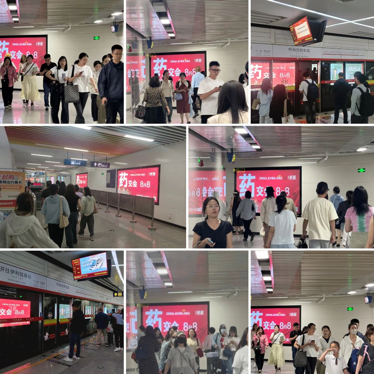 第二彈：炸了炸了 上5萬(wàn)了！內(nèi)蒙藥博會(huì)這是要火